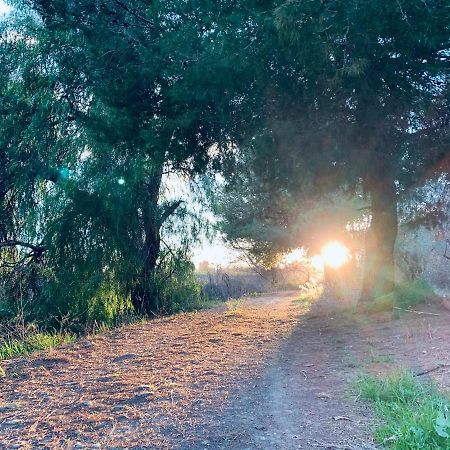Monte Rosado Viviendas Vacacionales La Peza Bagian luar foto
